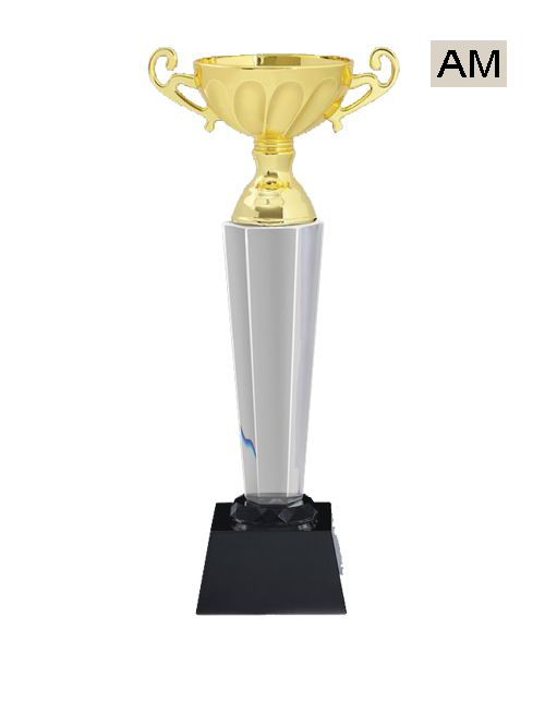 gold cup crystal trophies