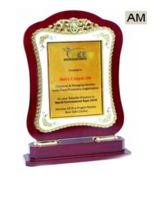 Golden Frame Wooden Stand Trophy