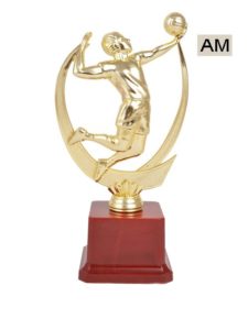 Read more about the article Basketball Championship Trophy