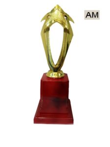 Read more about the article Big Star Trophy