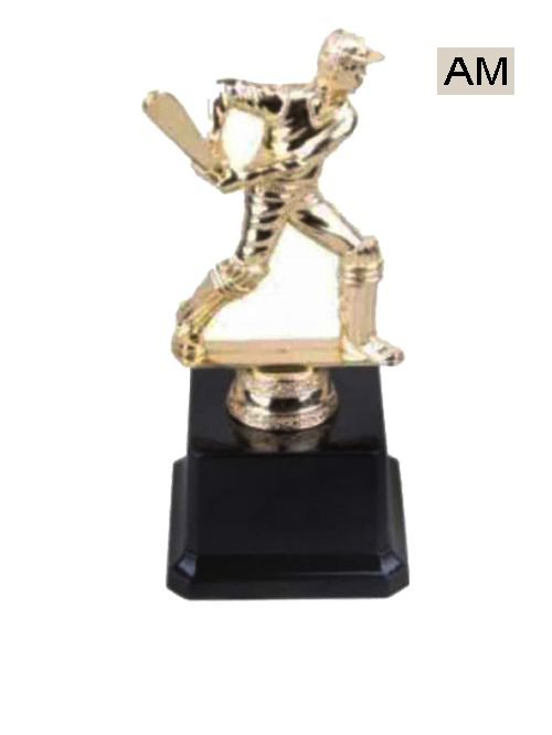 cricket trophy award