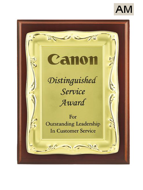 distinguished service award