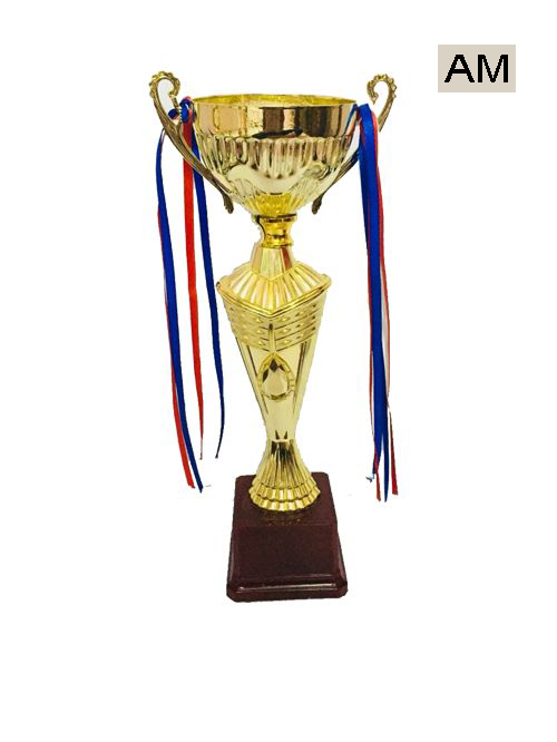 gold cup award