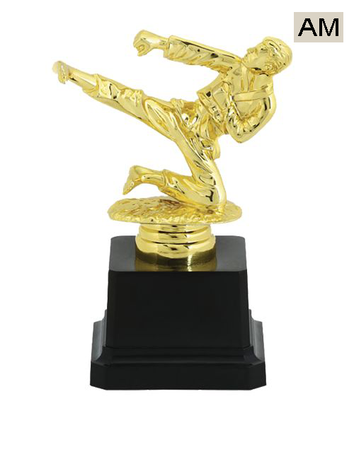 karate trophy award