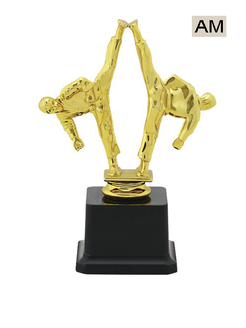 karate trophy