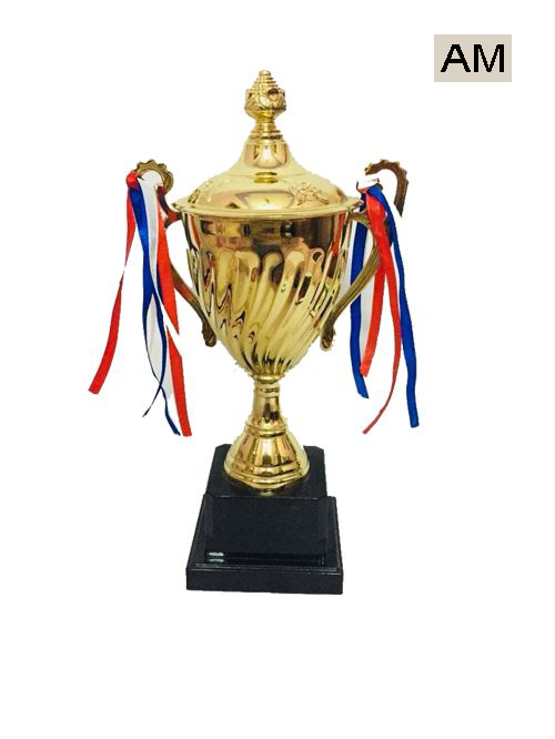 metal cup for winner trophy