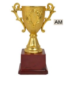 Read more about the article Sports Cup