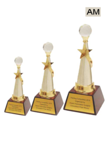Read more about the article Star Ball Award
