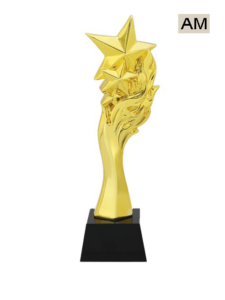 Read more about the article Star Trophy