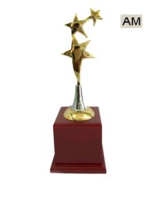 Three Metal Star Award