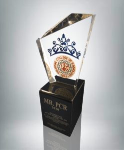 acrylic unique trophy